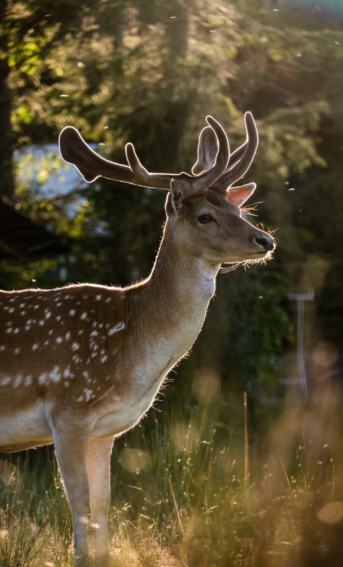 diana-aishe-s6Wh7atT_u8-unsplash