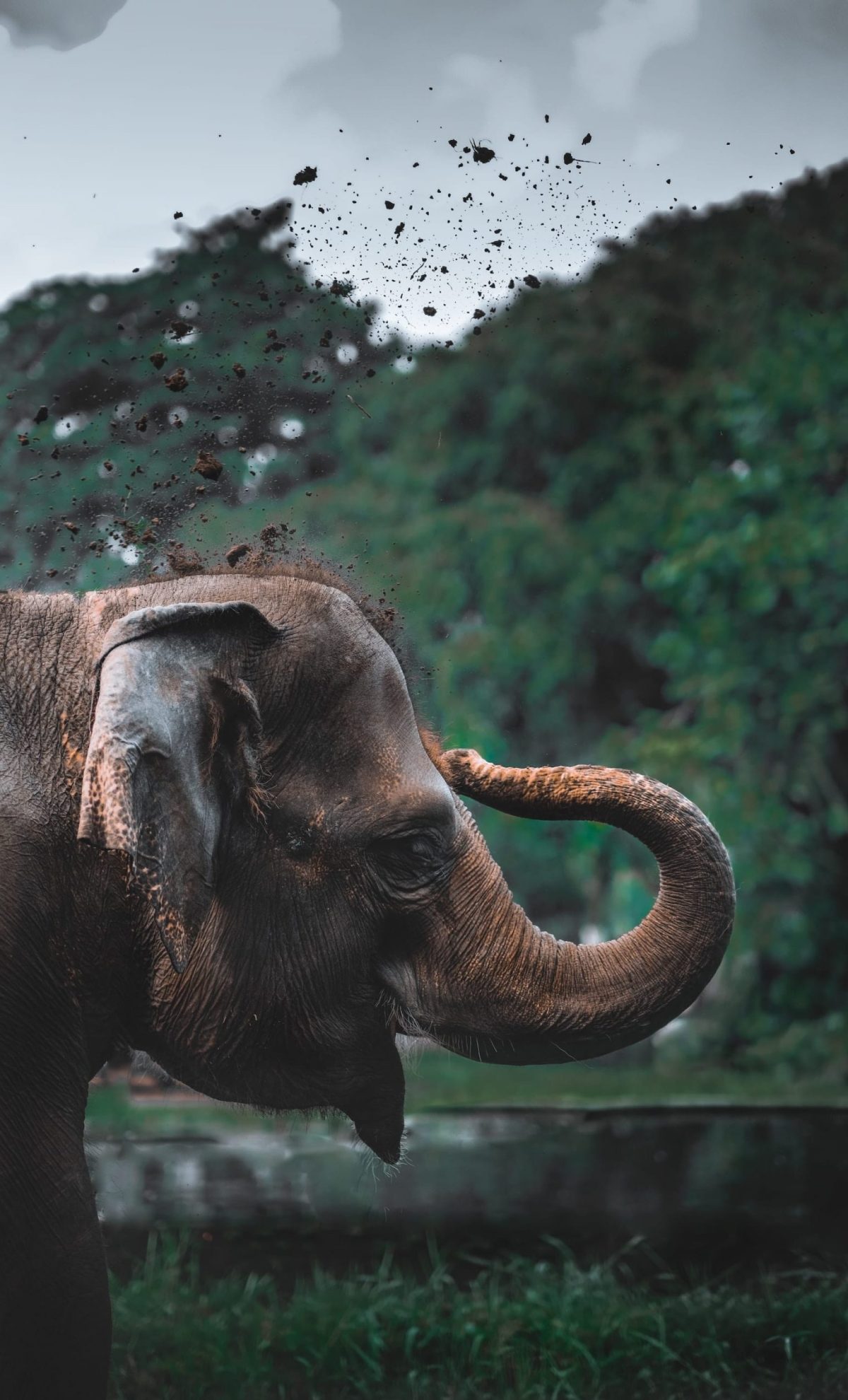 iswanto-arif-cbNVRnlntZ8-unsplash